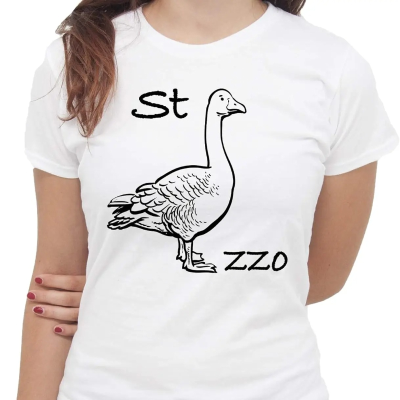 IMage Goose Rebus T-Shirt Funn - đánh giá và giá Summer Clothing Images